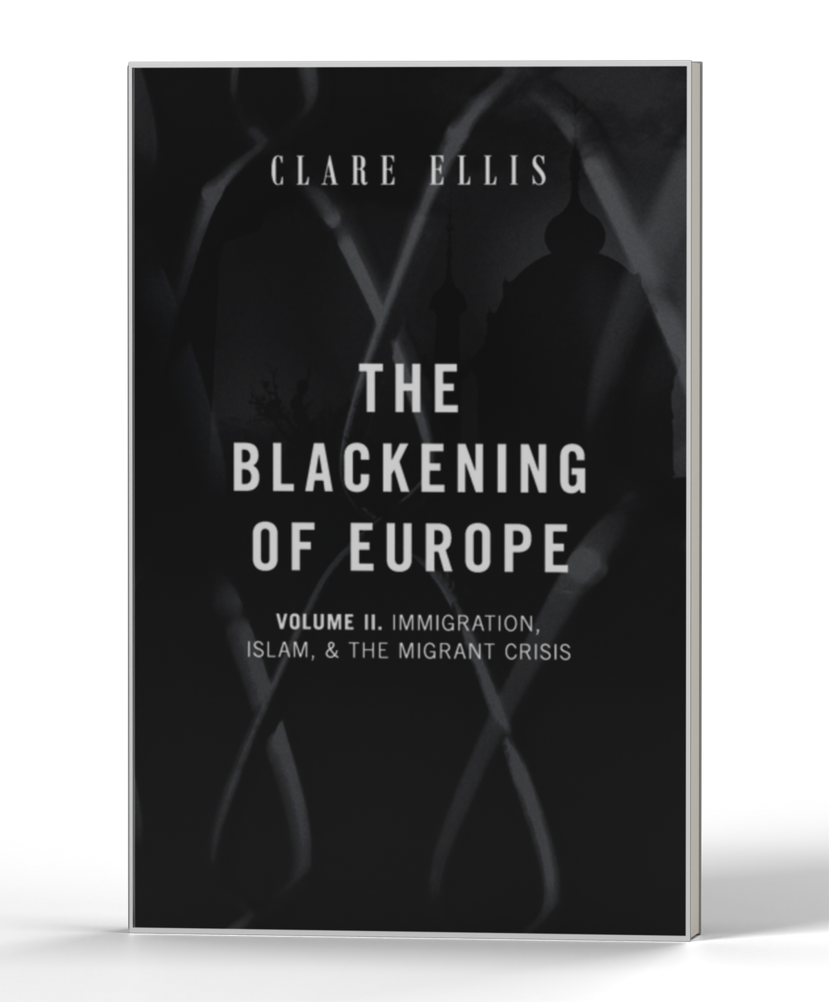 Blackening of Europe: Vol.2 — 3D product photo