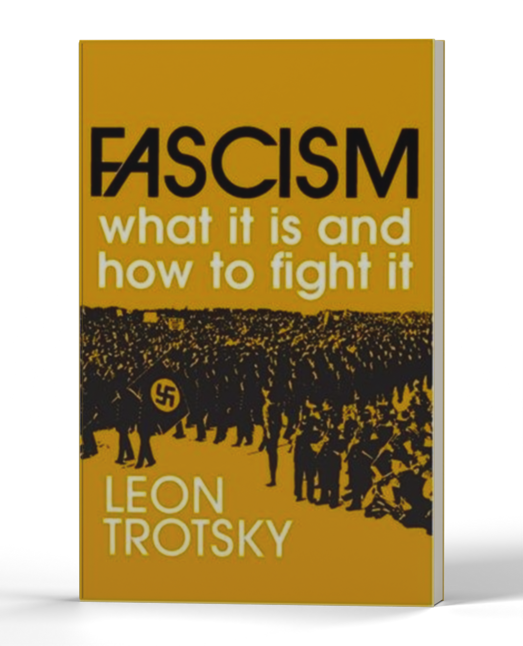 Fascism: What It Is and How to Fight It — 3D product photo