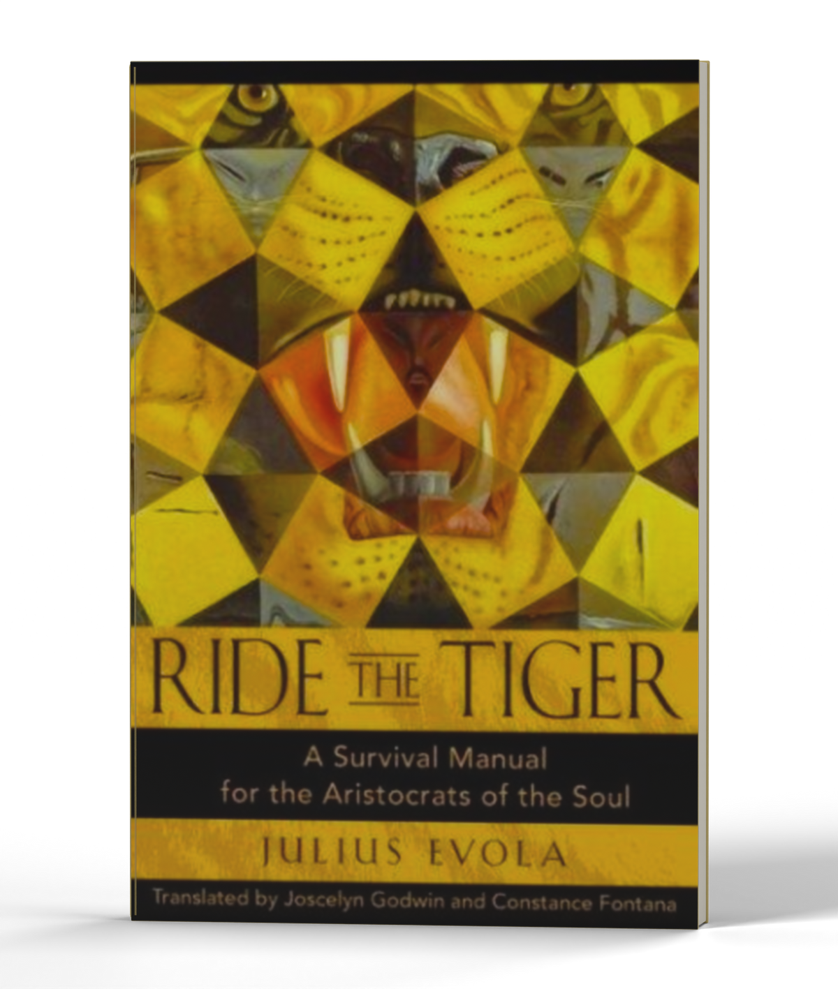 Ride the Tiger: A Survival Manual for the Aristocrats of the Soul — 3D product photo