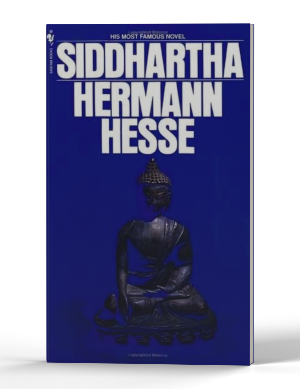 Siddhartha — 3D product photo