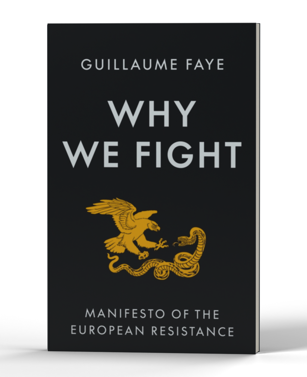 Why We Fight: Manifesto of the European Resistance — 3D product photo